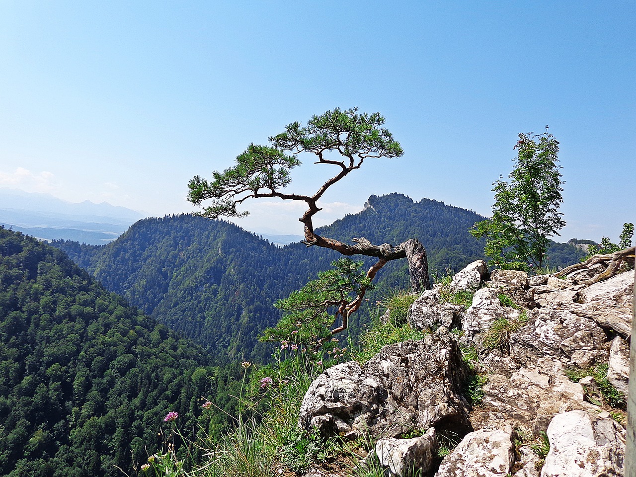 Bieszczady