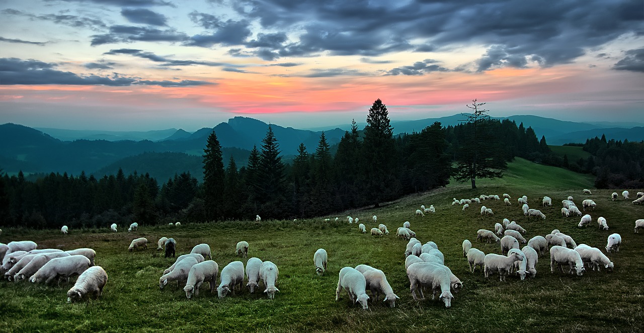 Dlaczego Pieniny? Co tam zobaczyć w ciągu kilkudniowej wycieczki?