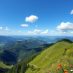 Z Wilkowic