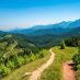 Z Andrychowa przez Złotą Górę i Targanicki Beskid